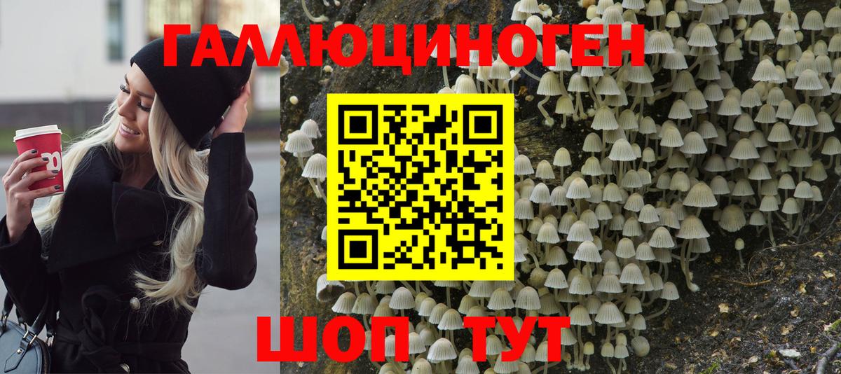 Галлюциногенные грибы Cubensis  Галлюциногенные грибы MAGIC MUSHROOMS  Вход с VPN  хочу   Елизово 